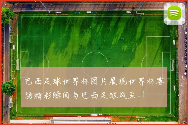 巴西足球世界杯图片展现世界杯赛场精彩瞬间与巴西足球风采_1